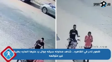 ظهور نادر في القاهرة.. شاهد محاولة سرقة جوال رد عليها المارة بطريقة غير متوقعة